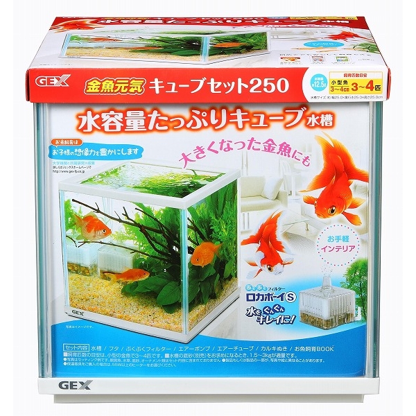 ジェックス 金魚元気 キューブセット 250 ペット用品の仕入は Petポチッと で ジェックス 金魚元気 キューブセット 250 ペット用品の仕入は Petポチッと で