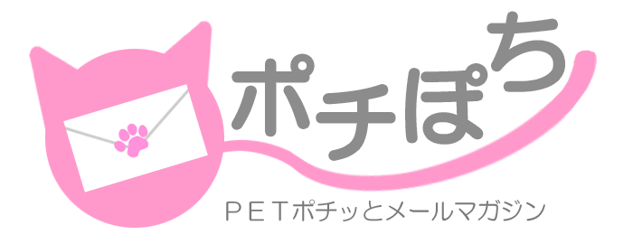 ポチぽち21年10月15日号 人気の猫アイテム紹介 ペット用品の仕入は Petポチッと で