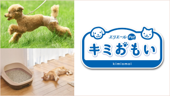 【キミおもい】大王製紙株式会社