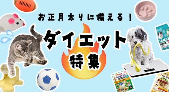 「ダイエット」特集