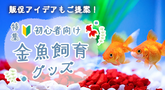 特集　初心者向け 金魚飼育グッズ｜PETポチッと季節特集