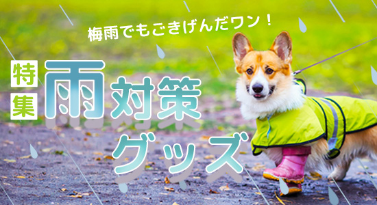 「雨対策グッズ」特集