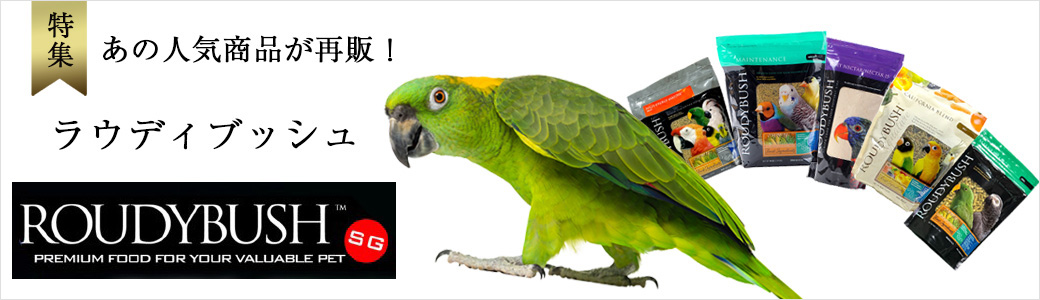 ラウディブッシュ特集