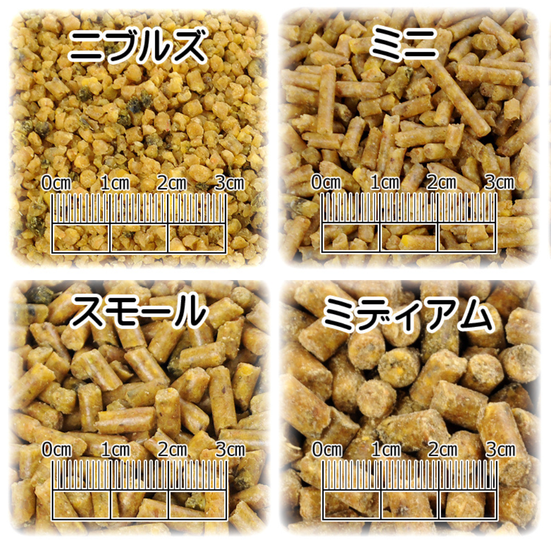 ペレットの大きさイメージ