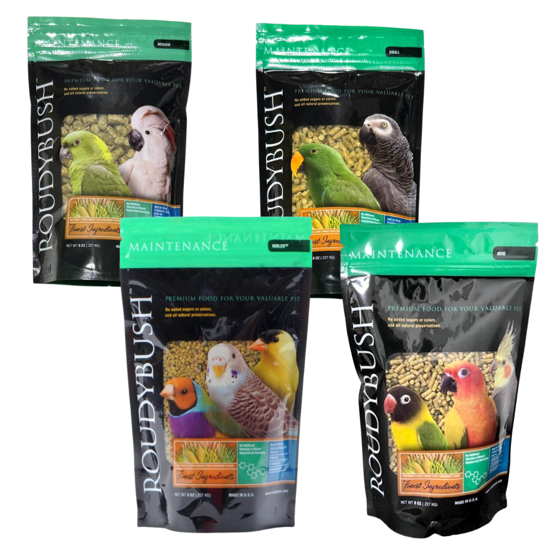 ラウディブッシュ デイリーメンテナンス