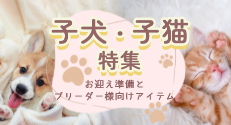 子犬・子猫特集