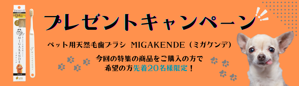 キャンペーン