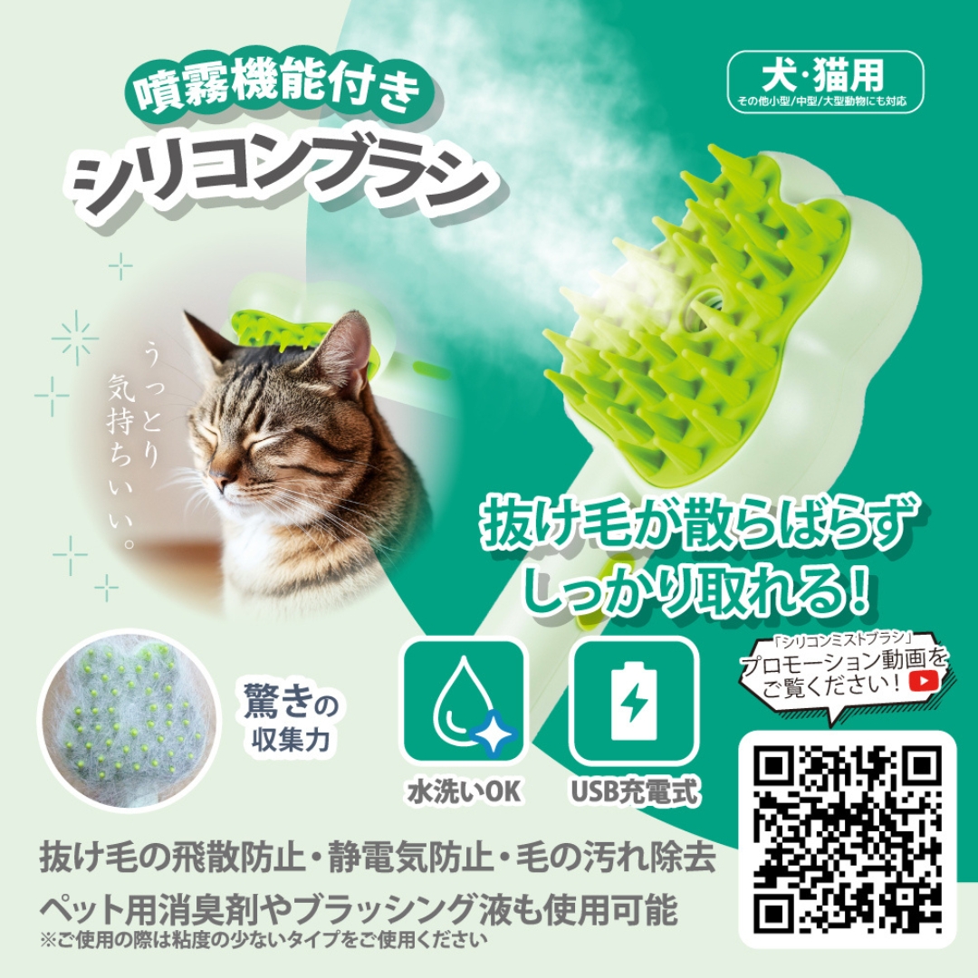 POP1