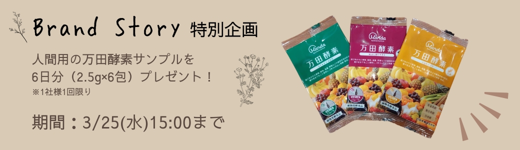 キャンペーンバナー