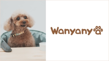 【Wanyanya(ワニャニャ）】株式会社シンセーインターナショナル