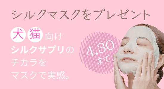 SILKFULLブランドストーリー掲載記念企画