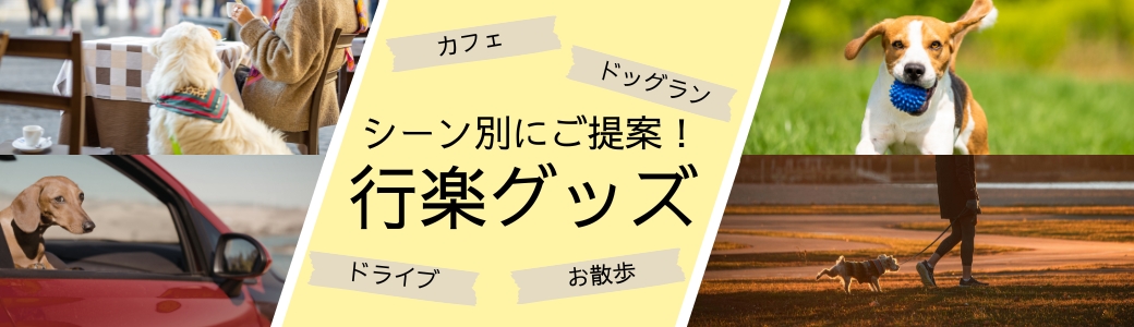 シーン別にご提案！行楽グッズ