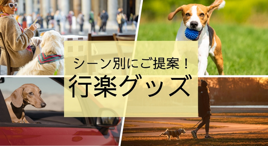 特集　行楽グッズ