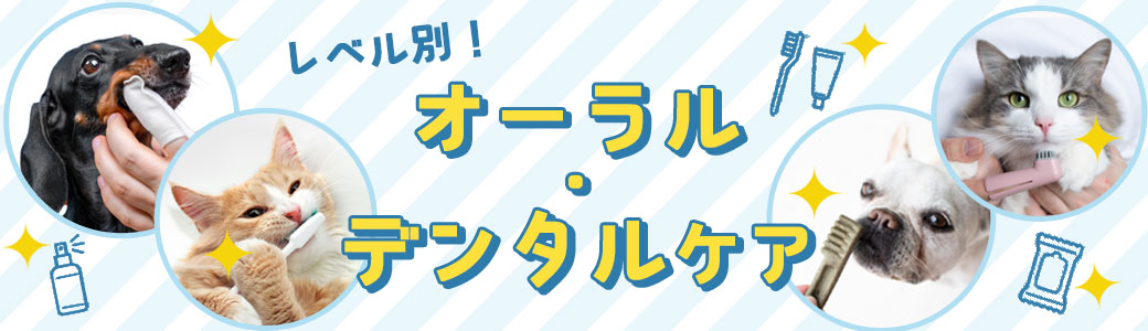 レベル別！オーラル・デンタルケア｜PETポチッと季節特集