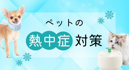 熱中症対策