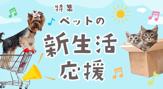 特集　ペットの新生活応援