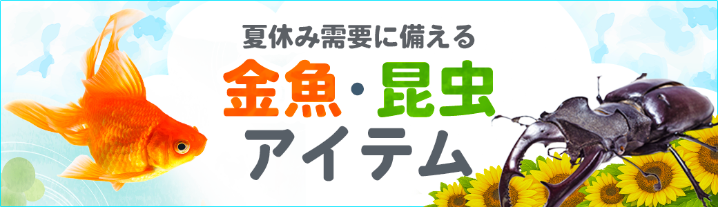 金魚・昆虫アイテム｜PETポチッと季節特集