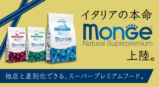 MONGE 特集